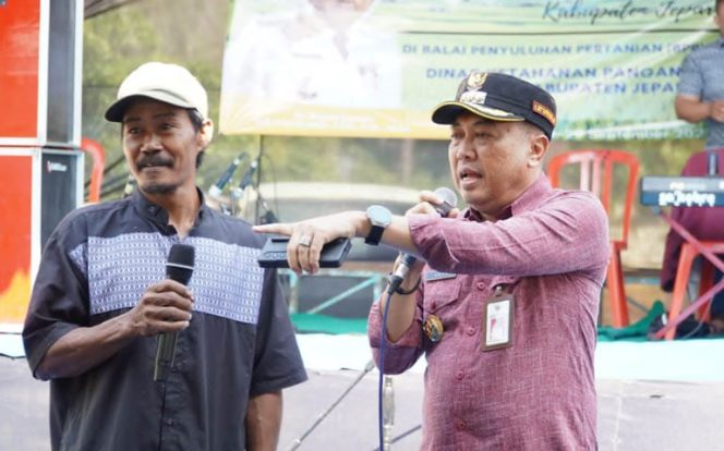 
					Produksi Beras di Jepara Alami Surplus Ribuan Ton Setiap Tahun