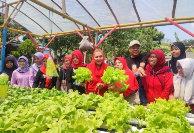 
					Mbak Ita Ingatkan Warga Soal Urban Farming Sikapi Kenaikan Harga Komoditi Pangan