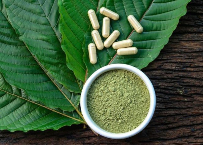 
					Temuan Jenis Narkoba Baru “Kratom”, BNN Garut: Beredar di Kalangan Pelajar