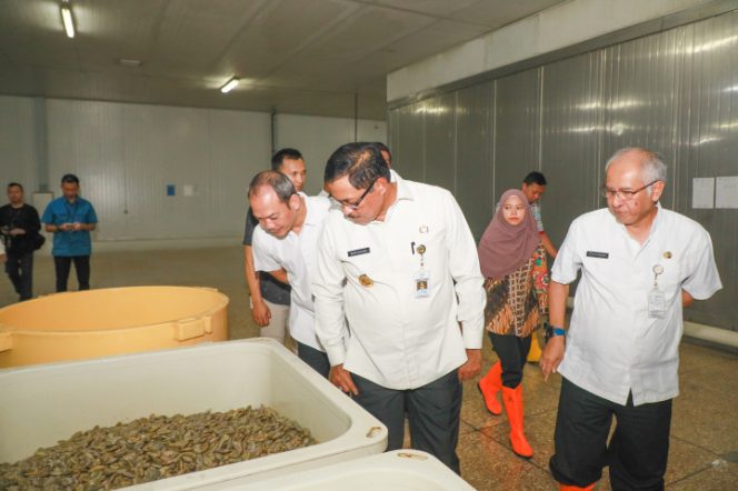 
					Lepas Ekspor 20 Ton Udang Beku ke Australia, Nana Sudjana: Ini Pertama Kali