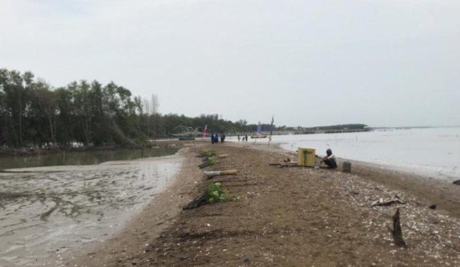 
					Destinasi Wisata Baru di Demak “Pulau Arnavat”, Pakar Ungkap Penyebab Kemunculannya