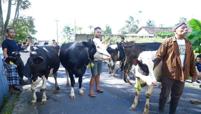 
					Warga Sruni Boyolali Gelar Bakdan Sapi Sambut Lebaran