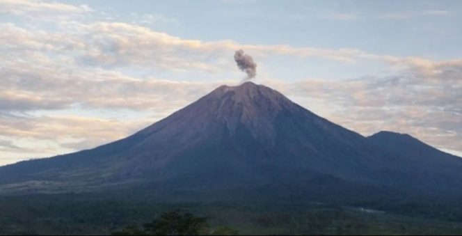 
					Semeru Semburkan Abu Vulkanik Setinggi 600 Meter, Warga Diminta Waspada